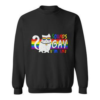 Pride Month Cat Sounds Gay I Am In Lgbt Sweatshirt - Monsterry DE