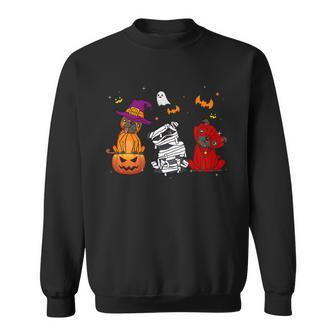 Pug Dog Skeleton Witch Dracula Mummy Funny With Pumpkin Sweatshirt - Monsterry