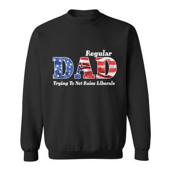 Republican Dad Just A Regular Dad Trying To Not Raise Liberals Tshirt Sweatshirt - Monsterry AU