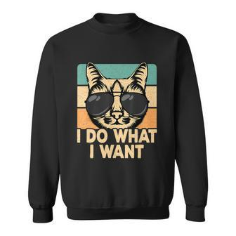 Retro I Do What I Want Funny Cat Lover Sweatshirt - Thegiftio UK