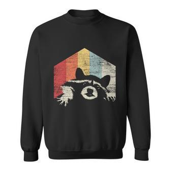 Retro Raccoon Gift Sweatshirt - Monsterry