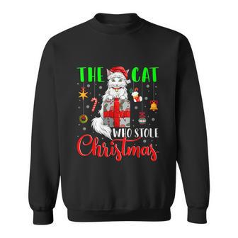 The Cat Who Stole Christmas Funny Christmas Santa Cat Lover Graphic Design Printed Casual Daily Basic Sweatshirt - Thegiftio UK