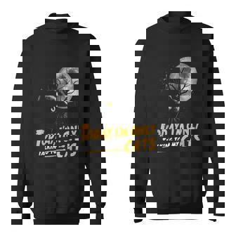 Today Im Only Talking To My Cats Moon Lucky Black Cat Sweatshirt - Thegiftio