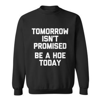 Tomorrow Isnt Promised Be A Hoe Today Gift Funny Cool Cute Great Gift Sweatshirt - Monsterry DE