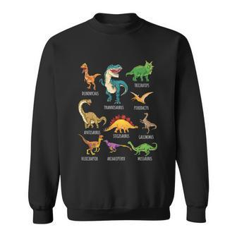 Types Of Dinosaurs Graphics Dino Identification Gift Graphic Design Printed Casual Daily Basic Sweatshirt - Thegiftio UK