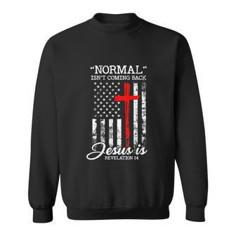 Usa Flag Normal Isnt Coming Back But Jesus Is Revelation Sweatshirt - Thegiftio UK
