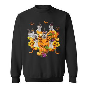 Westie Witch Heart Pumpkin Sunflower Halloween Thanksgiving Sweatshirt - Seseable