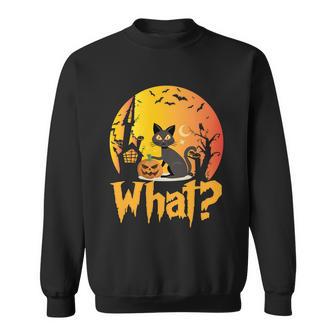 What Cat Pumpkin Halloween Quote Sweatshirt - Monsterry AU