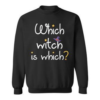 Which Witch Is Which Funny Halloween English Grammar Teacher Sweatshirt - Seseable