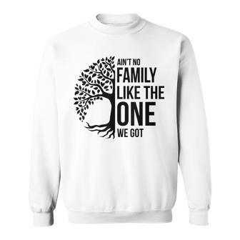 Aint No Family Like The One We Got Funny Family Reunion Sweatshirt - Thegiftio UK