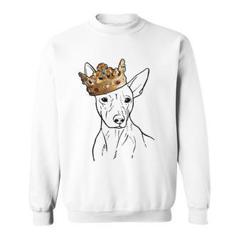 American Hairless Terrier Dog Wearing Crown Sweatshirt | Mazezy