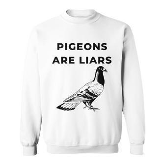 Pigeons Are Liars Tshirt Sweatshirt - Monsterry DE