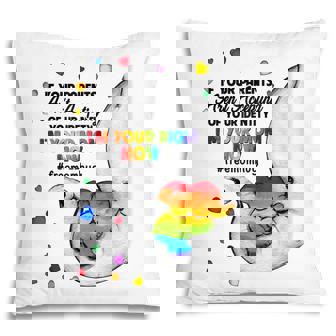 Parents Accepting Im Your Mom Now Elephant Lgbtq Gay Pride Pillow - Thegiftio