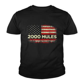 2000 Mules Pro Trump 2024 Tshirt V2 Youth T-shirt - Monsterry AU