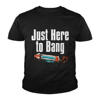 4Th Of July Fireworks Just Here To Bang Funny Firecracker Cool Gift Youth T-shirt - Monsterry DE