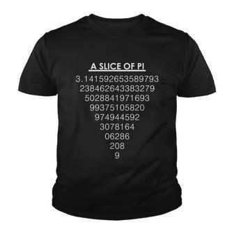 A Slice Of Pi Pie Funny Pi Day Math Geek Logo Tshirt Youth T-shirt - Monsterry UK