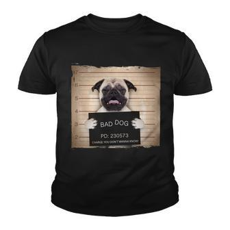 Bad Dog Funny Pug Prison Mug Shot Youth T-shirt - Monsterry