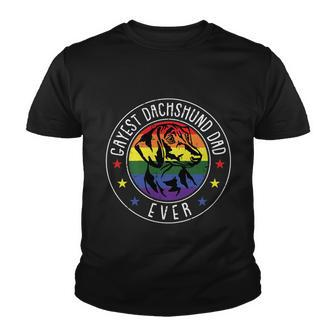Dachshund Dad Lgbtgreat Giftq Gay Pride Flag Doxie Dog Lover Ally Great Gift Youth T-shirt - Monsterry DE