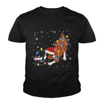 Funny Boxer Santa Hat Christmas Lights Xmas Dog Lover Owner Gift Youth T-shirt - Monsterry UK