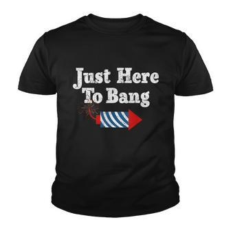 Funny Fourth Of July 4Th Of July Im Just Here To Bang Youth T-shirt - Monsterry DE