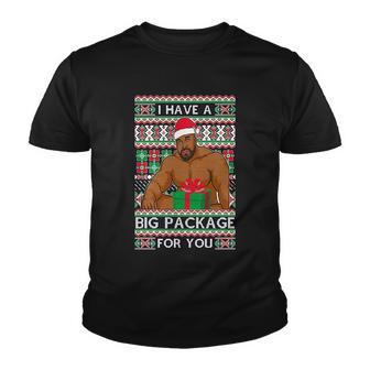 Funny I Have A Big Package For You Ugly Christmas Sweater Tshirt Youth T-shirt - Monsterry AU