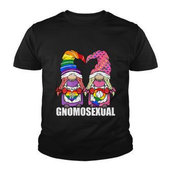 Gnomosexual Lgbtq Gnome For Lesbian Women Love Pride Gnomes Great Gift Youth T-shirt