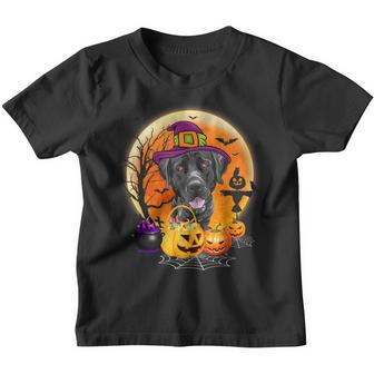 Halloween Great Dane Dog Moon With Pumpkin Funny Gifts Women Youth T-shirt - Thegiftio UK