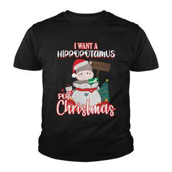 I Want A Hippopotamus For Christmas Ho Ho Ho Youth T-shirt - Monsterry CA