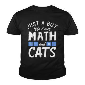 Just A Boy Who Loves Math And Cats Algebra Funny Mathematics Youth T-shirt - Thegiftio UK