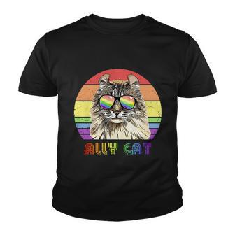 Lgbtq Ally Cat Rainbow Gay Pride Flag Lgbt Funny Gift Youth T-shirt - Monsterry AU