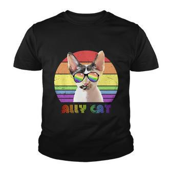 Lgbtq Ally Cat Rainbow Gay Pride Flag Lgbt Gift V9 Youth T-shirt - Monsterry DE