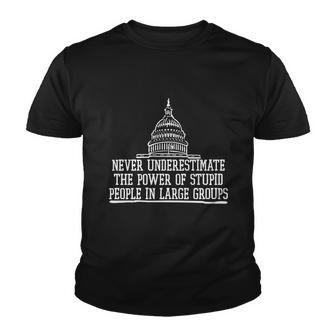 Never Underestimate The Power Of Stupid People In Large Groups V2 Youth T-shirt - Monsterry