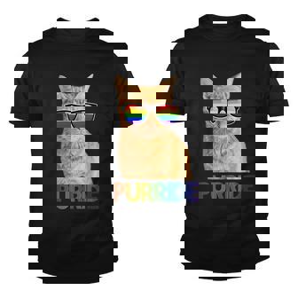 Puuride Gay Pride Lgbt Cat Youth T-shirt - Monsterry