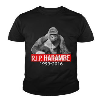 Rip Harambe Gorilla Cincinnati Zoo Youth T-shirt - Monsterry CA