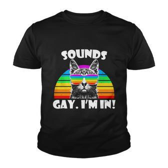 Sounds Gay Im In Rainbow Cat Pride Retro Cat Gay Funny Gift Youth T-shirt - Monsterry UK