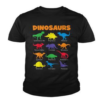 Types Of Dinosaurs Boys Girls Paleontology Dinosaur Expert Youth T-shirt - Thegiftio UK