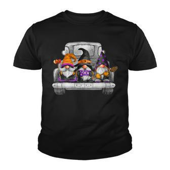 Womens Halloween Truck Drive Gnomes Witch Broom Hat Pumpkin Costume Youth T-shirt - Seseable