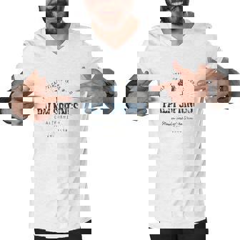 Vintage Retro Style Palm Springs Men V-Neck Tshirt - Thegiftio