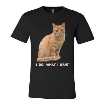 Do What I Want Funny Orange Tabby Cat Lovers Gifts Unisex Jersey Short Sleeve Crewneck Tshirt - Monsterry