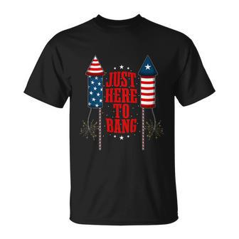 4Th Of July Funny Fireworks Patriotic American Firecracker Unisex T-Shirt - Monsterry