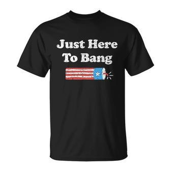 Funny 4Th Of July Im Just Here To Bang Unisex T-Shirt - Monsterry DE