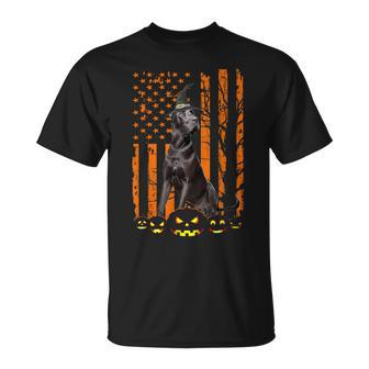Great Dane Dog Pumpkin American Flag Vintage Halloween Witch T-shirt - Thegiftio UK