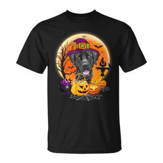 Halloween Great Dane Dog Moon With Pumpkin T-shirt - Thegiftio UK