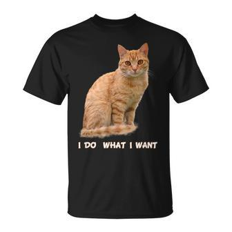 I Do What I Want Funny Orange Tabby Cat Lovers Gifts Men Women T-shirt Graphic Print Casual Unisex Tee - Thegiftio UK