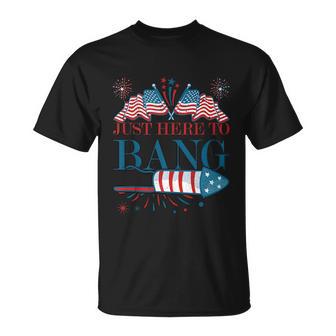 Just Here To Bang Firework 4Th Of July Unisex T-Shirt - Monsterry CA