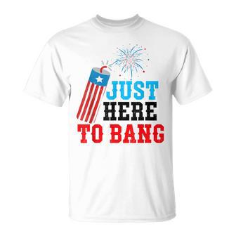 Funny Fourth Of July 4Th Of July Im Just Here To Bang Unisex T-Shirt - Seseable