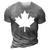 Canadian Flag Women Men Kids Maple Leaf Canada Day 3D Print Casual Tshirt Grey