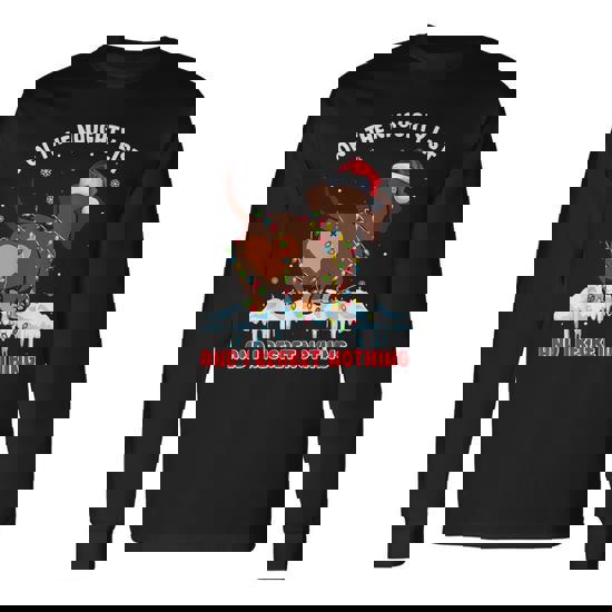 On The Naughty List I Regret Nothing Dachshund Xmas Gift T-Shirt On The Naughty List I Regret Nothing Dachshund Xmas Gift T-Shirt