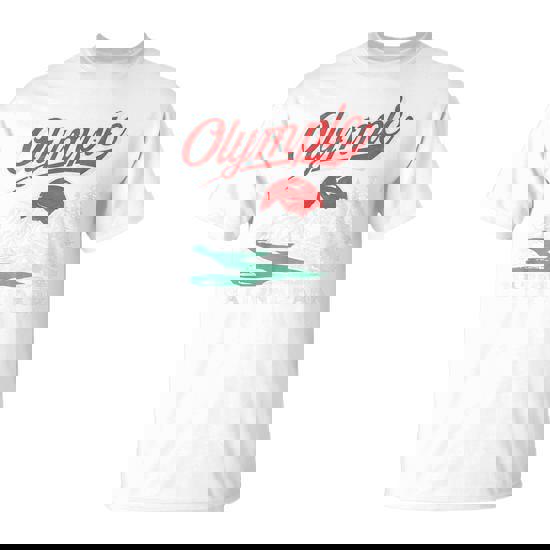 Olympic National Park Retro 80'S Mountains T-Shirt