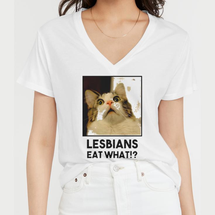 Lesbian Eat What Funny Cat Women V-Neck T-Shirt